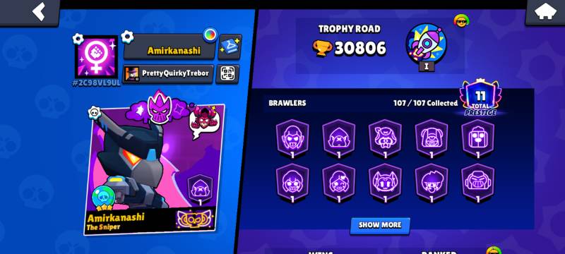 107 براولر | 30,806 کاپ | 45 مکس | 60 هایپرشارژ | 13 بافی